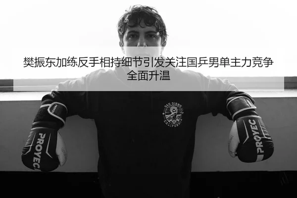 樊振东加练反手相持细节引发关注国乒男单主力竞争全面升温